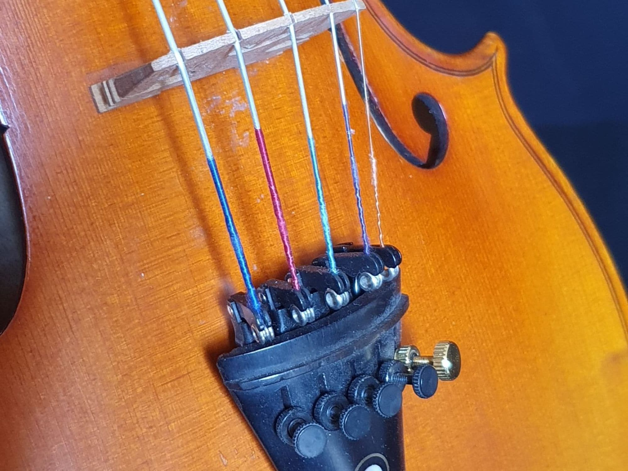 Violin 5String Guitar Gallery