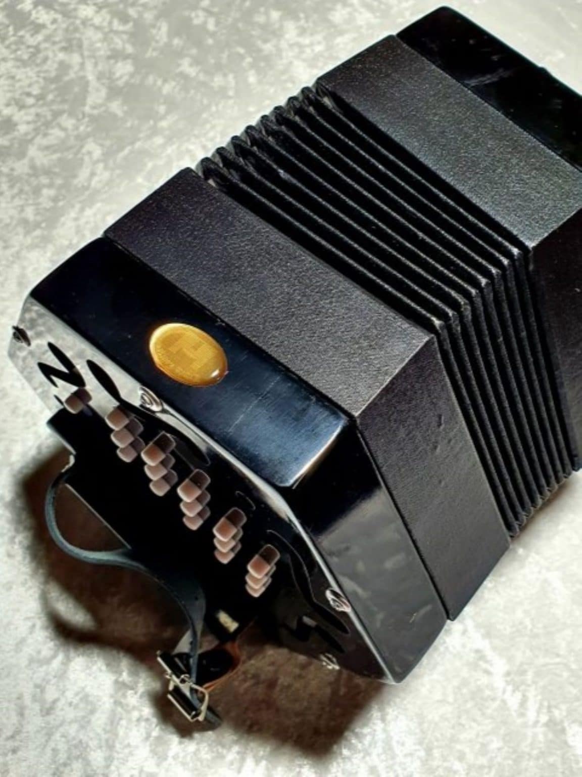 Trinity College AP1130 Concertina Guitar Gallery Music Shop MELB