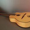 Altamira M Gypsy Jazz Guitar Wide View