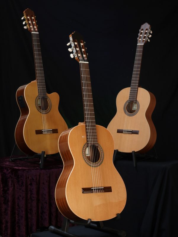 Altamira N100 Guitar Range Guitar Gallery Music Shop MELB