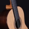 altamira sete cordas 7 string guitar cedar top
