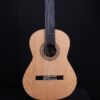altamira sete cordas 7 string guitar front