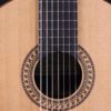 altamira sete cordas 7 string guitar rosette