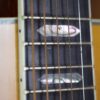 blueridge br 1060 carter stanley guitar (1)