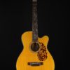 blueridge br 142ce guitar full