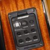 blueridge br 142ce guitar presys pick up