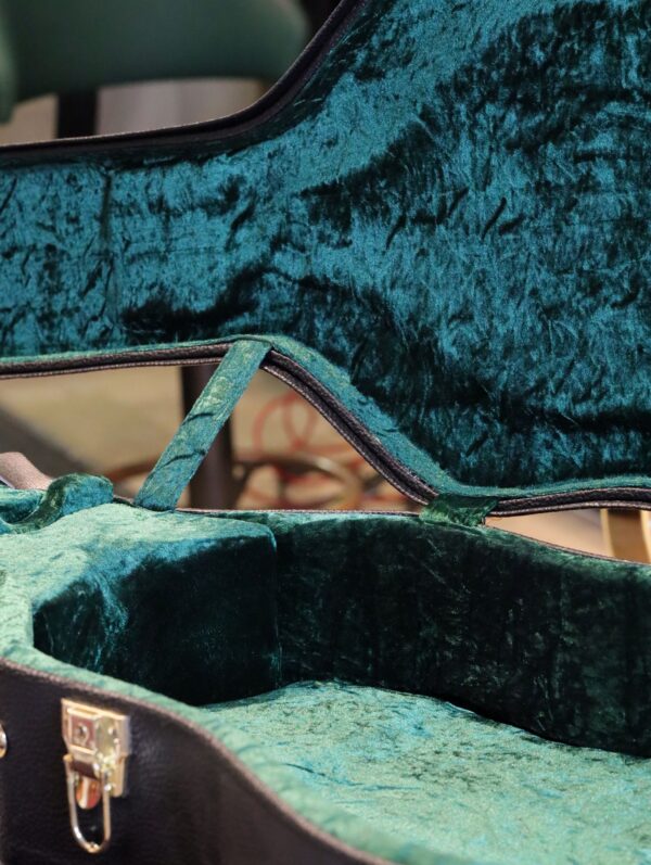 blueridge br 260 guitar case (3)