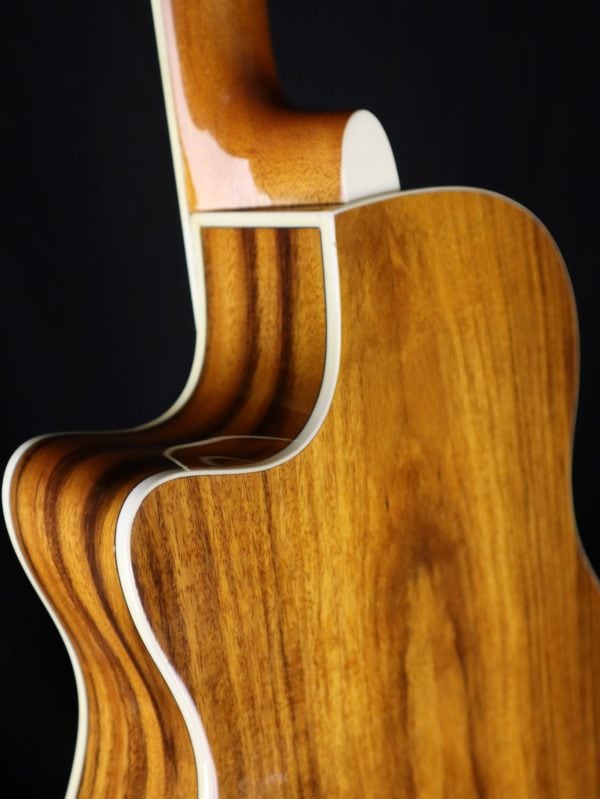 bourbon street bsr 3c as resontor guitar cutaway
