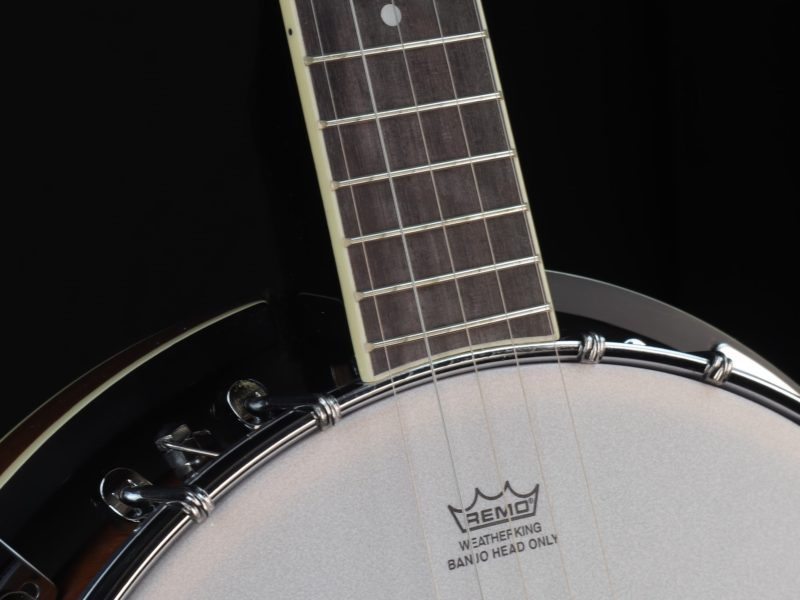 bryden sbj254 banjo