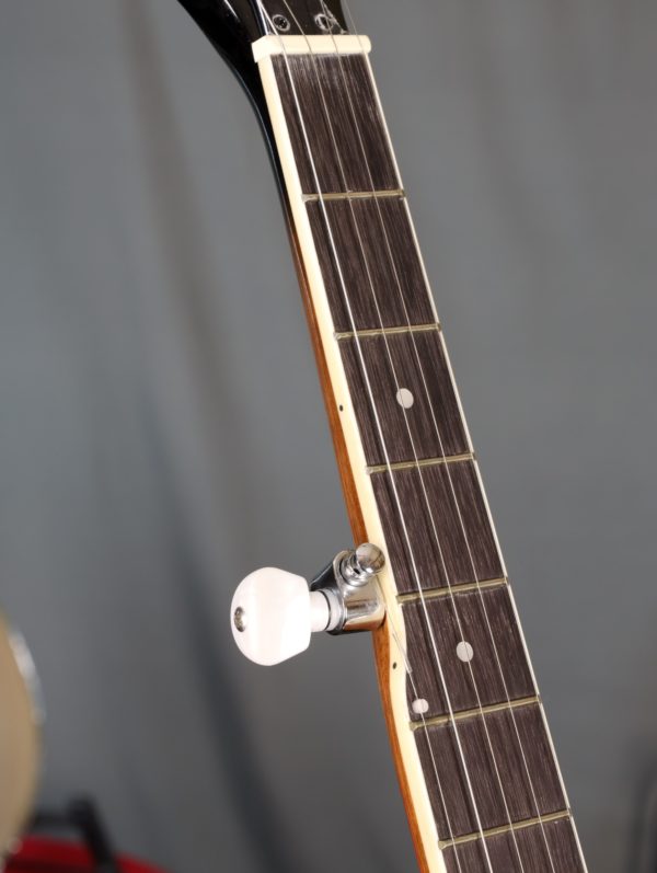 bryden sbj524 banjo 5th string