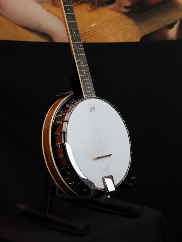 bryden sbj524 banjo