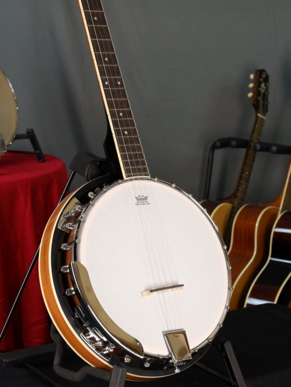 bryden sbj524 banjo frosted head