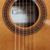 cordoba c5 cet classical guitar rosette