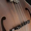 eastman md315 mandolin bridge