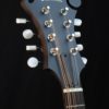 eastman md315 mandolin headstock