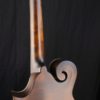 eastman md315 mandolin maple back