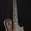 eastman md315 mandolin neck