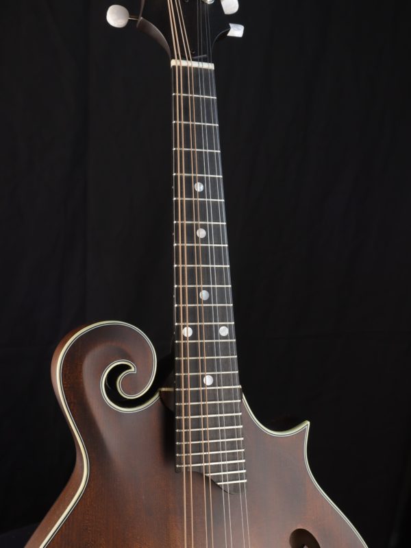 eastman md315 mandolin neck