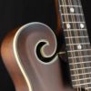 eastman md315 mandolin scroll