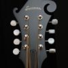 eastman mda 315 mandola (4)