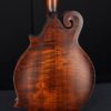 eastman mda315 mandola maple back