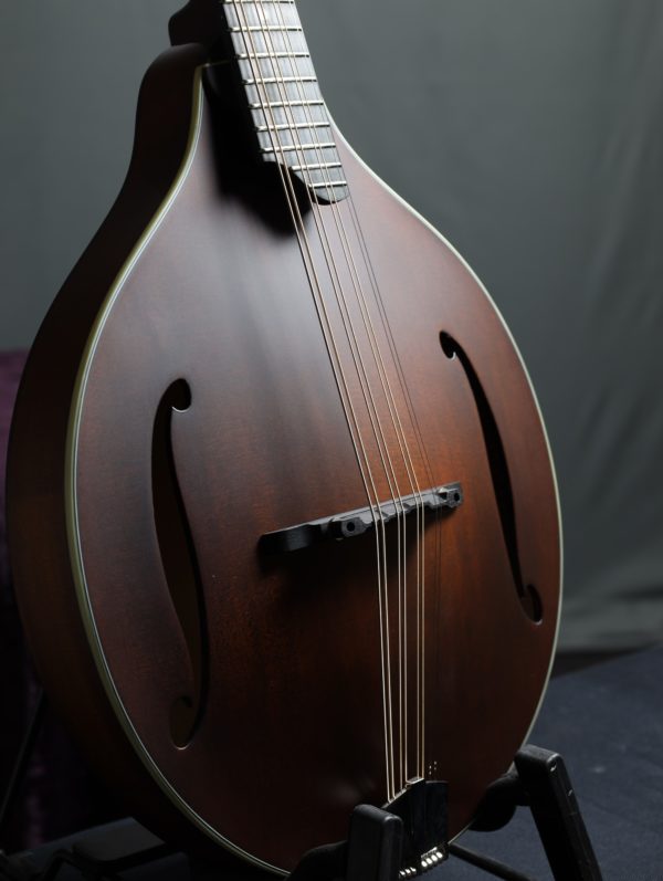 eastman mdo305 octave mandolin shaded
