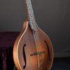 eastman mdo305 octave mandolin spruce top