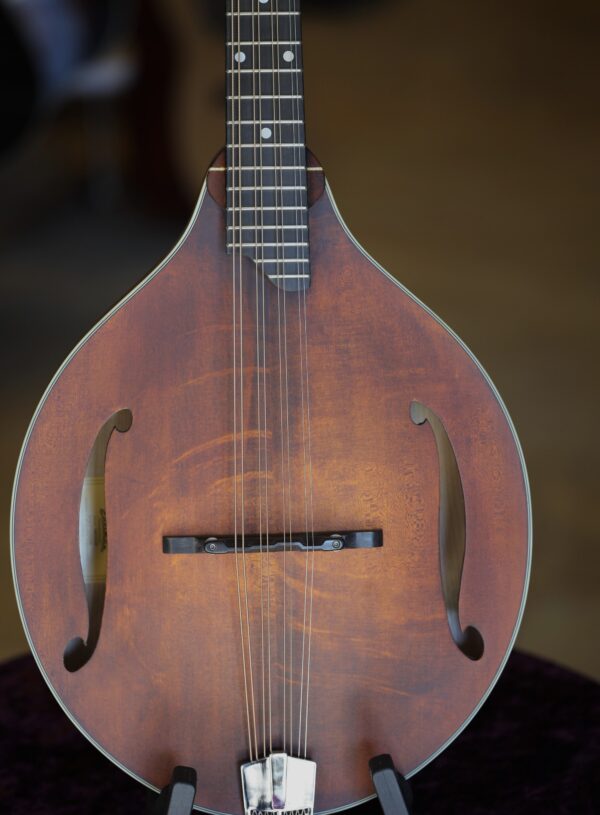 eastman mdo315 octave mandolin