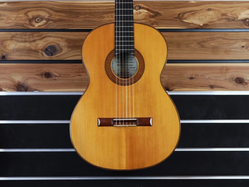 eberhard kreul fleta style guitar