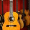 esteve 3g 740 guitar