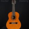 esteve 3g 740 guitar full