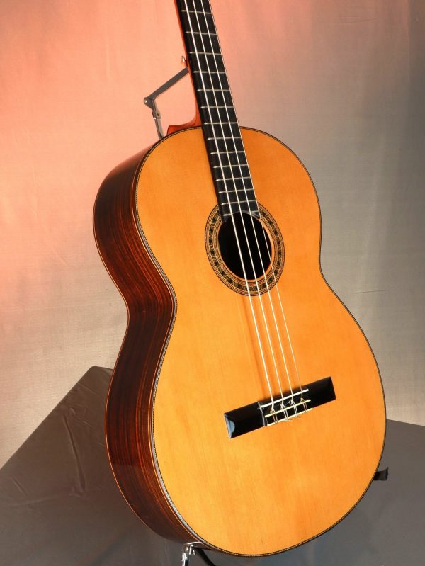 Esteve Ps75 Acoustic Bass Guitar