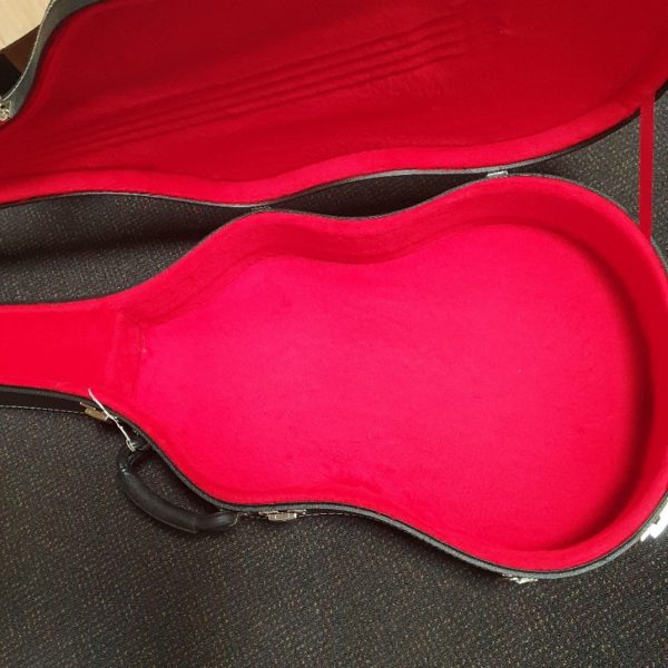 Esteve Ps75 Acoustic Bass Guitar Case
