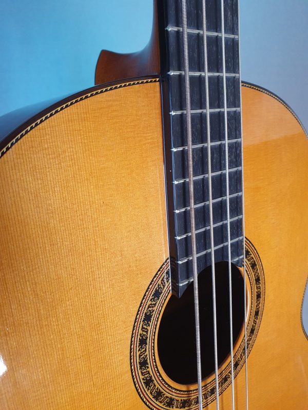 Esteve Ps75 Acoustic Bass Guitar Fretboard View
