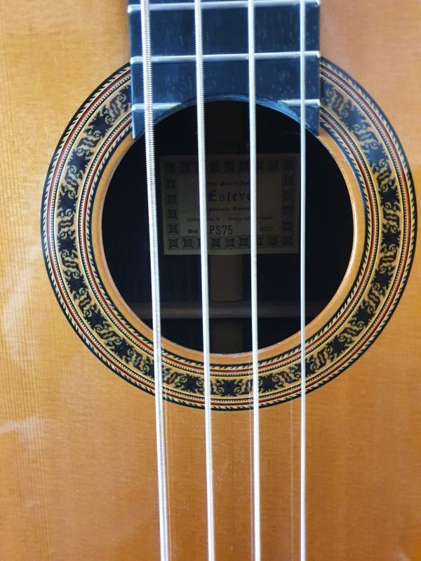 Esteve Ps75 Acoustic Bass Guitar Rosette