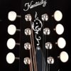 kentucky km 140 mandolin inlays