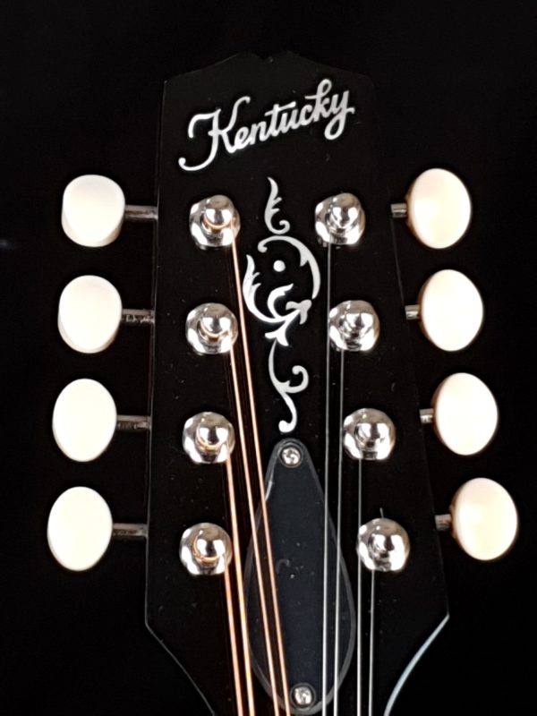 kentucky km 140 mandolin inlays