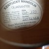 Kentucky Km 270 Mandolin Label