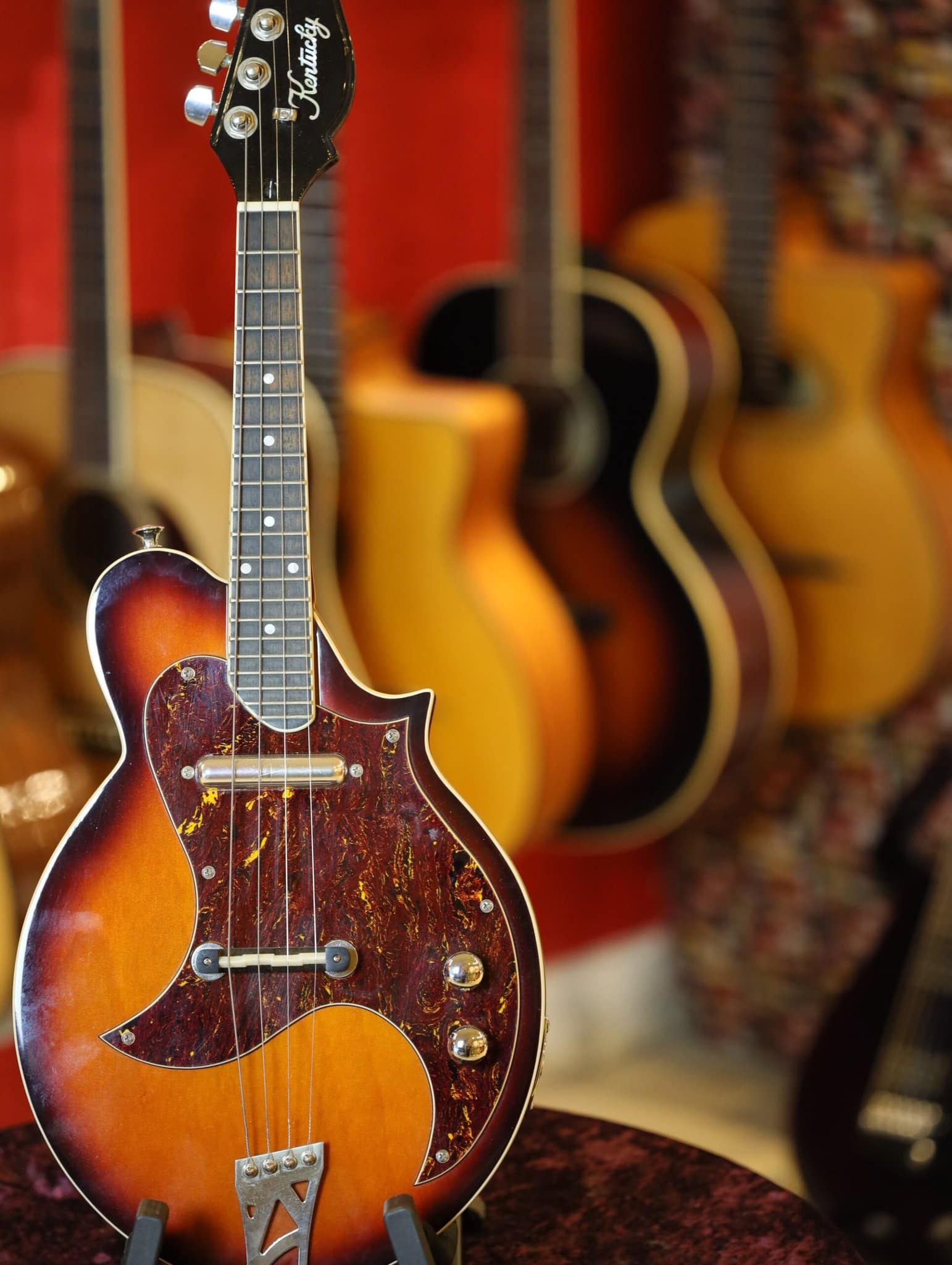 Kentucky KM300E Electric Mandolin Guitar Gallery Music Shop MELB