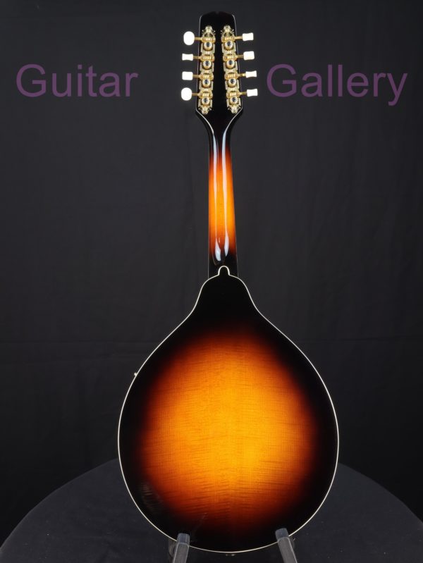 kentucky km 500 mandolin solid maple back