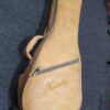 kentucky km 505 mandolin gigbag