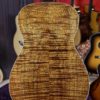 regal rd 60 resonator guitar rear view