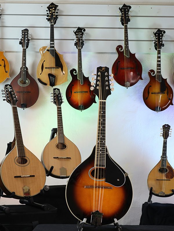 reynolds mandolin guitar gallery