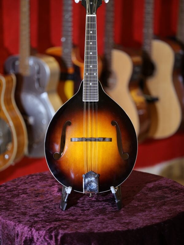 rover rm 50 mandolin