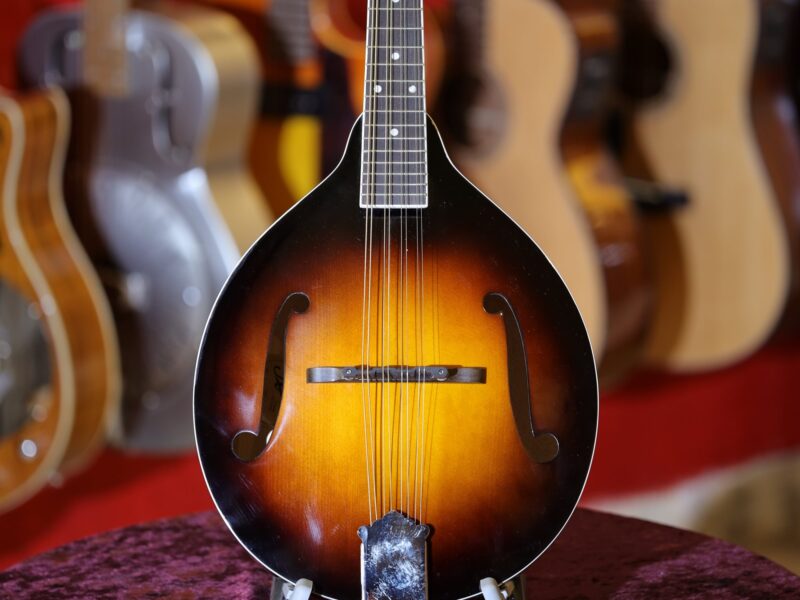 rover rm 50 mandolin