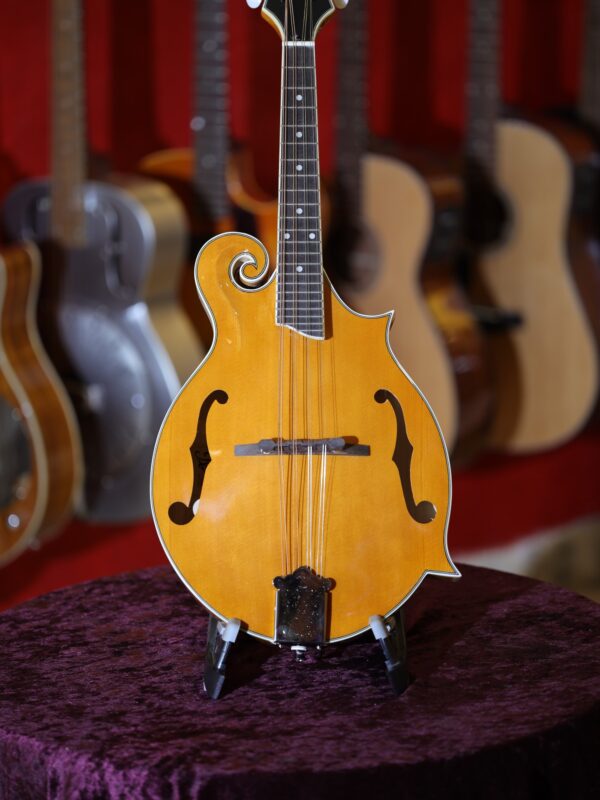 rover rm 75 mandolin