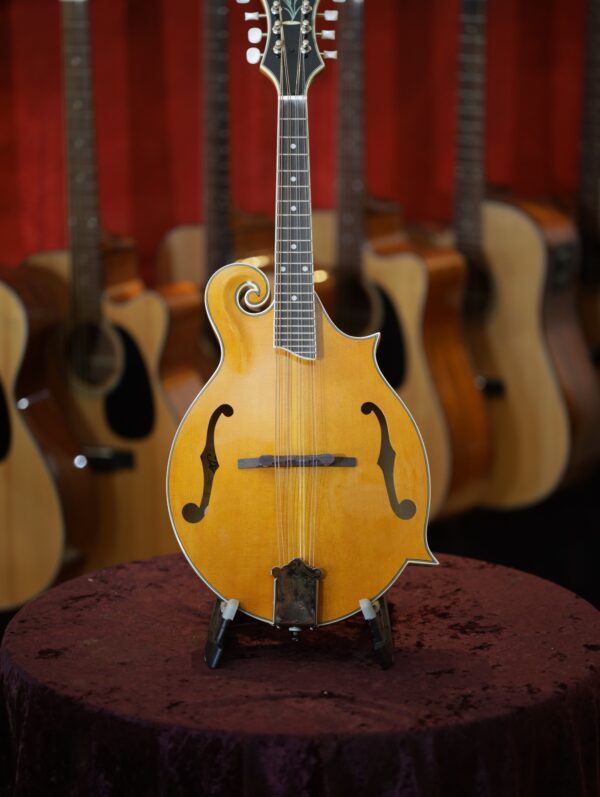 rover rm 75 mandolin