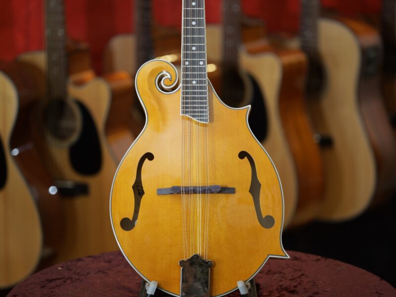 rover rm 75 mandolin