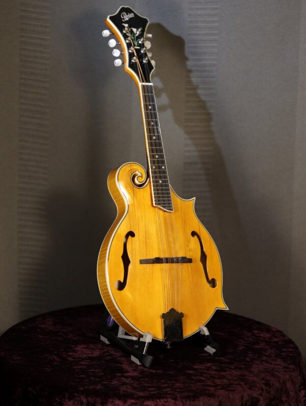 rover rm 75 mandolin