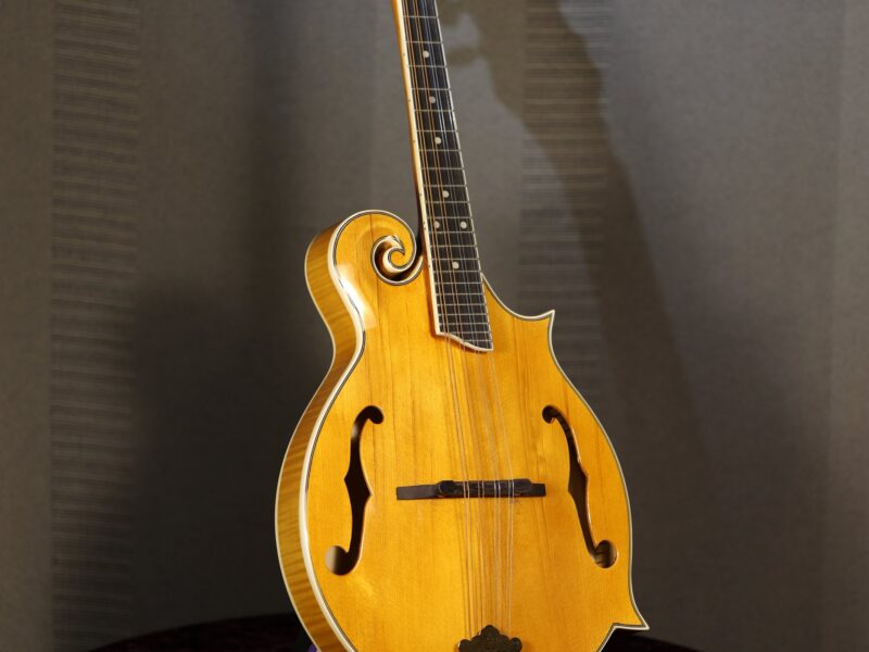 rover rm 75 mandolin